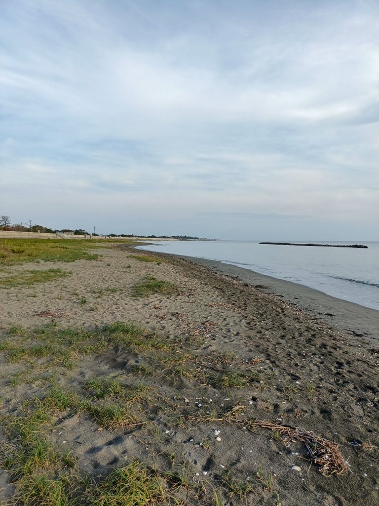 大淀海岸
