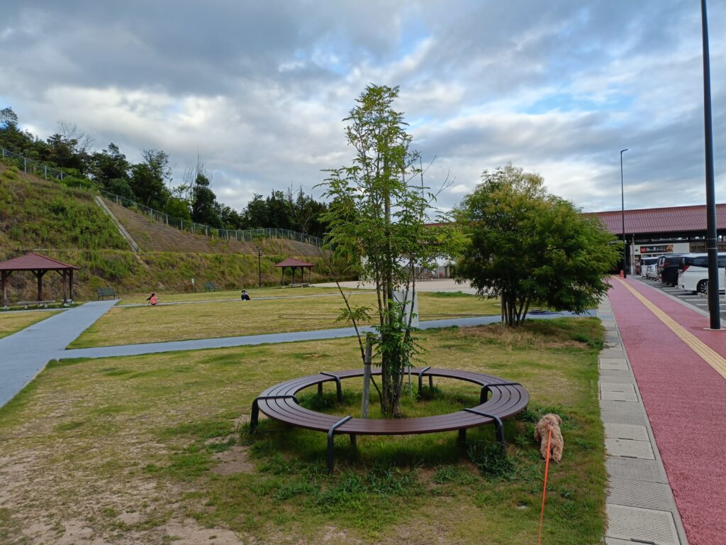 西条のん太の酒蔵の芝生広場